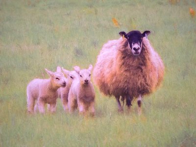 Triplets, 2018 by Unbekannt Unbekannt